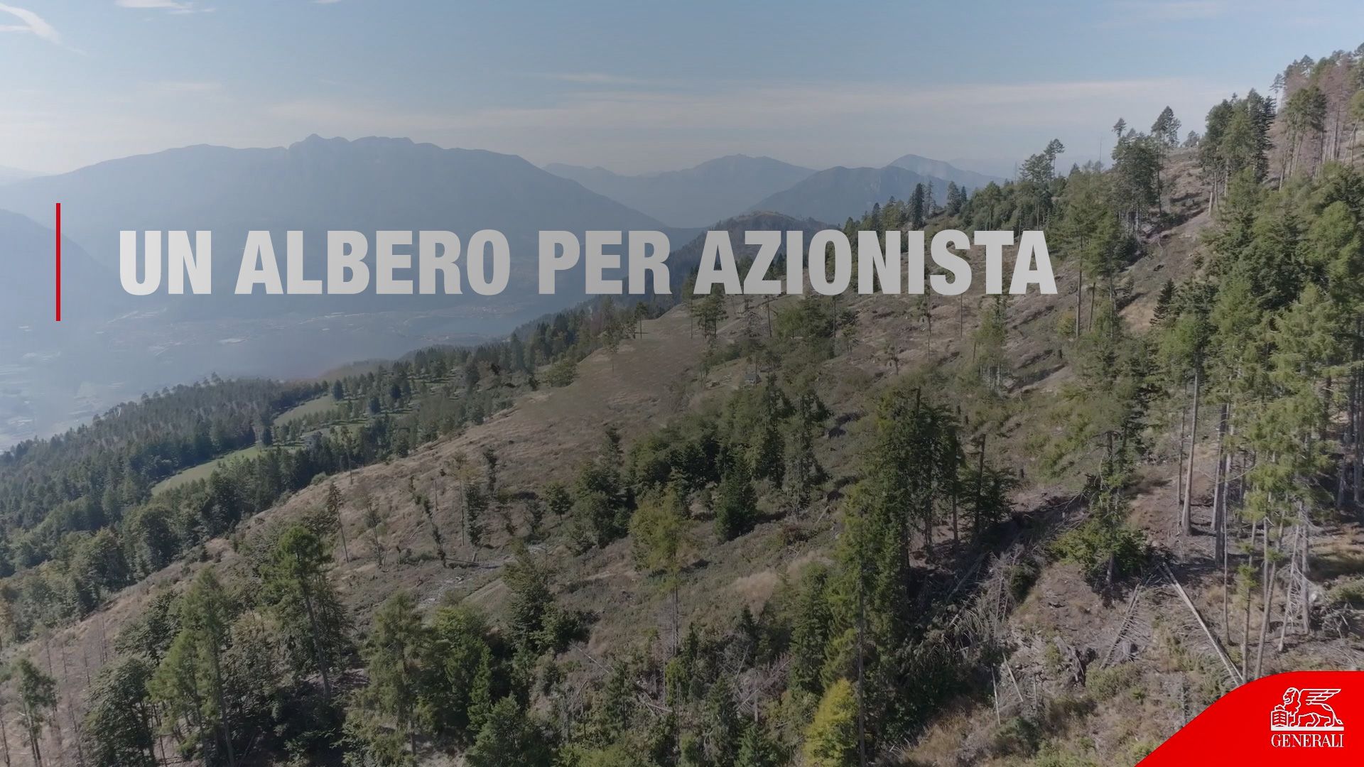 Video - Un albero per azionista