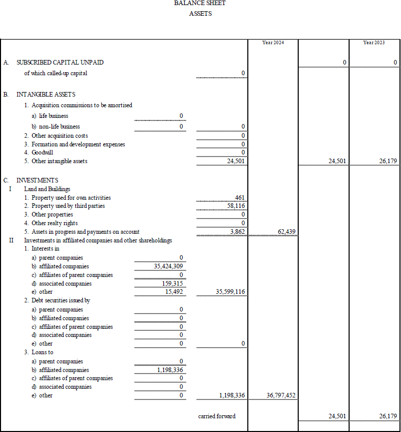 Parent Company’s Balance Sheet and Income Statement (17)