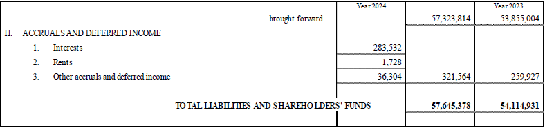 Parent Company’s Balance Sheet and Income Statement (17)