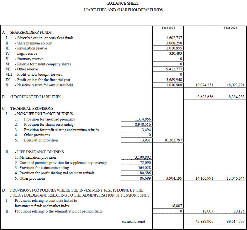 Parent Company’s Balance Sheet and Income Statement (17)