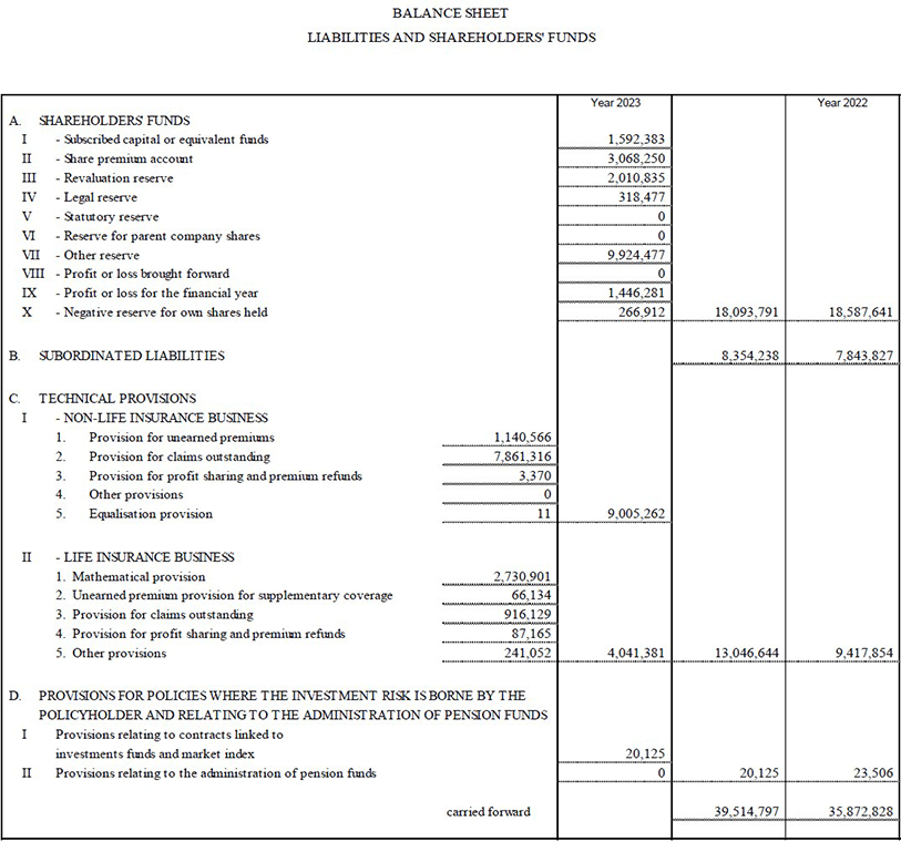 Parent company’s balance sheet and income statement (12)